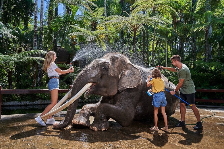 Gia đình tắm rửa vui chơi với voi tại Elephant Safari Park, Ubud