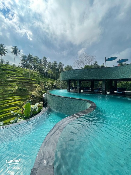 Hồ bơi tràn view ruộng bậc thang tại resort ở Ubud, Bali