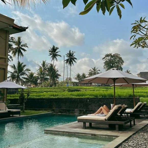 Hồ bơi villa nhìn ra cánh đồng Ubud vào buổi sáng mùa khô Bali