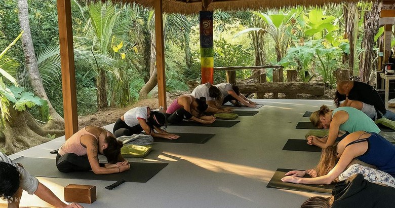 Lớp yoga buổi sáng giữa vườn rừng nhiệt đới tại Ubud, ánh sáng vàng lọc qua tán cây