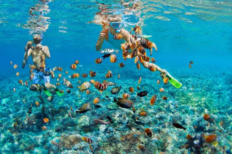 Rạn san hô và đàn cá nhiều màu tại điểm lặn quanh Nusa Penida