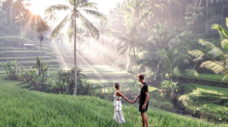 Toàn cảnh ruộng bậc thang Tegallalang buổi sáng sớm còn mờ sương