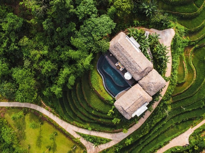 Villa có hồ bơi riêng nhìn ra ruộng bậc thang tại Ubud lúc bình minh