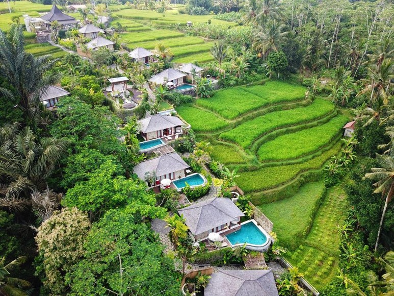 Villa hồ bơi riêng nhìn ra ruộng bậc thang xanh tại Ubud, Bali